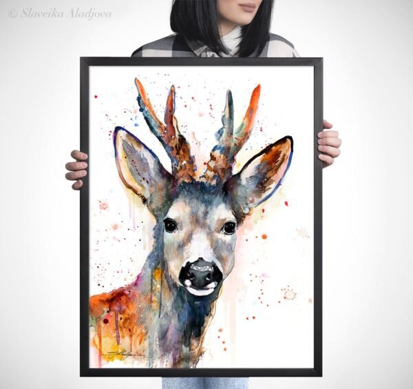 Roe deer