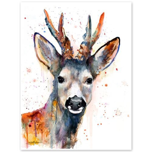 Roe deer