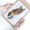 Screech Owl Watercolor Print by Luke Kanelov