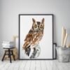 Screech Owl Watercolor Print by Luke Kanelov