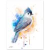 Tufted Titmouse