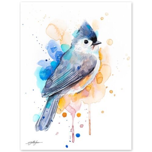Tufted Titmouse