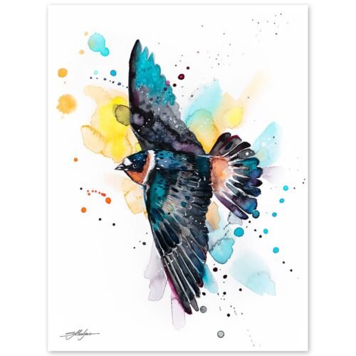 Cliff Swallow