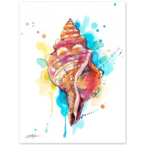 Seashell watercolor painting print by Slaveika Aladjova