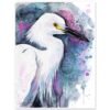 Snowy egret