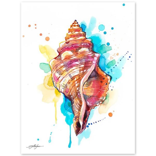 Seashell watercolor painting print by Slaveika Aladjova Seashell watercolor painting print by Slaveika Aladjova