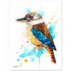Kookaburra
