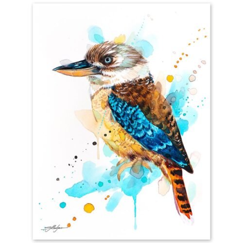 Kookaburra
