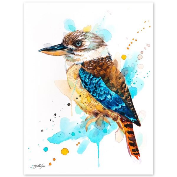 Kookaburra