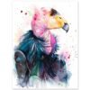 California condor