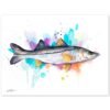 Common snook fish
