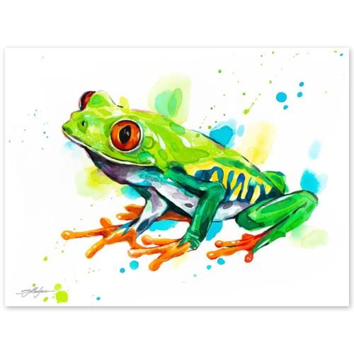 Red-eyed tree frog