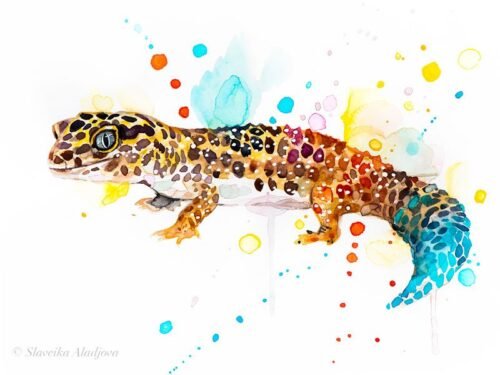Leopard gecko