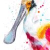 Roseate spoonbill