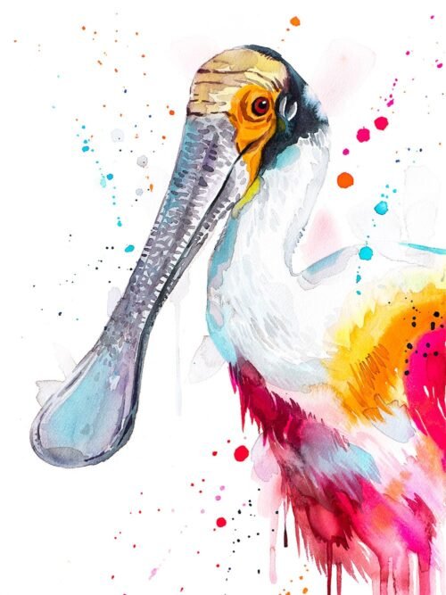 Roseate spoonbill
