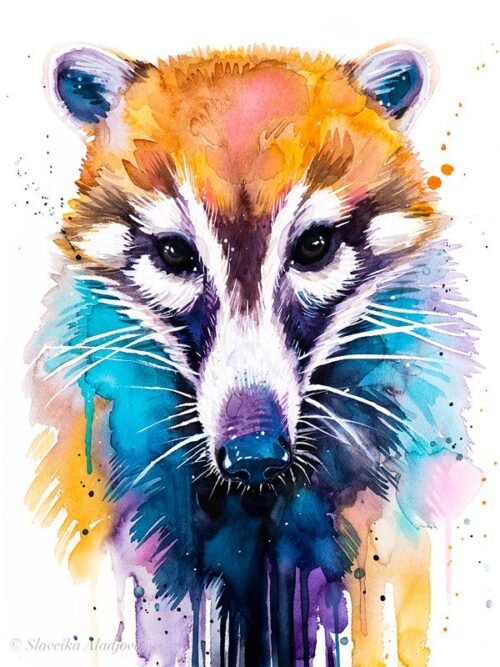 White-nosed coati