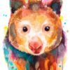 Tree-kangaroo