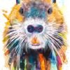 Nutria Nutria
