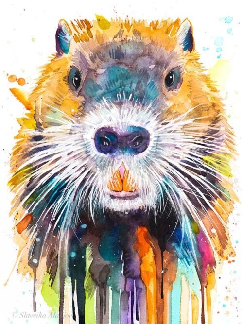 Nutria