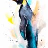 Emperor penguin