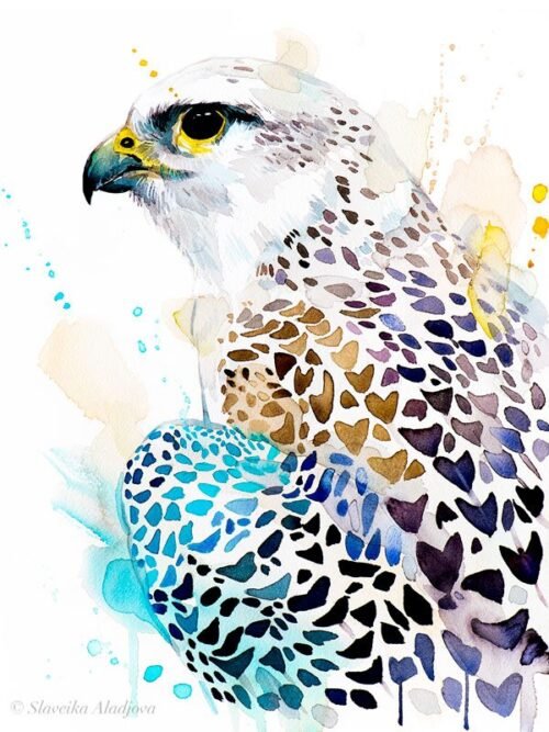 Gyrfalcon