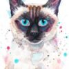 Siamese cat Siamese cat