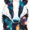 European Badger European Badger