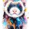 Ferret