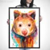 Tree-kangaroo