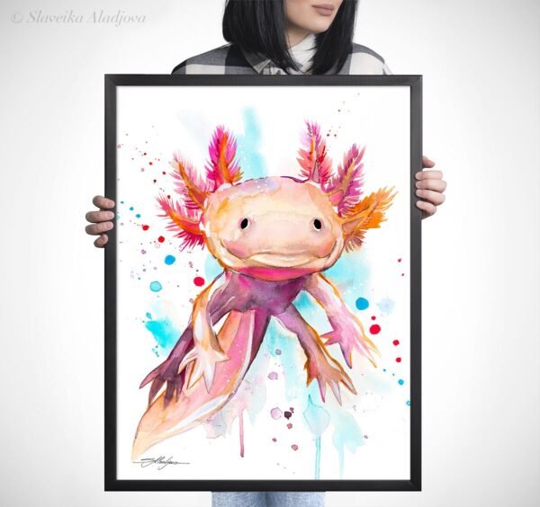 Axolotl, salamander