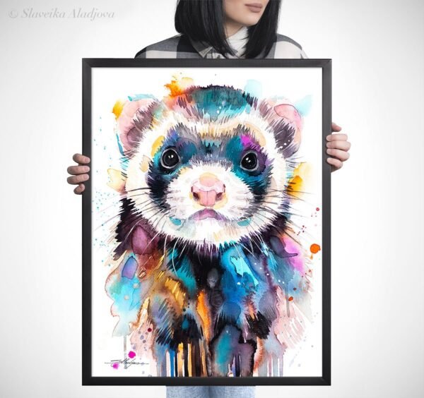 Ferret