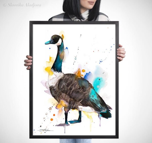 Canada goose