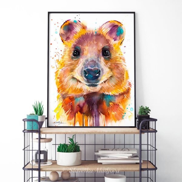 Quokka