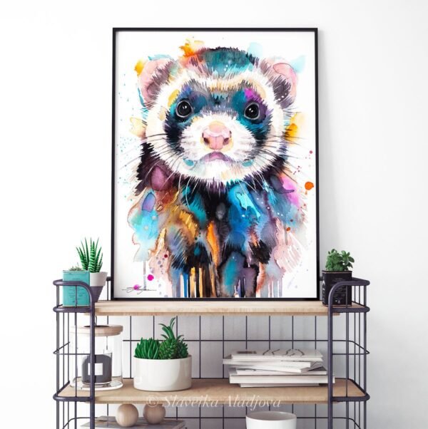 Ferret