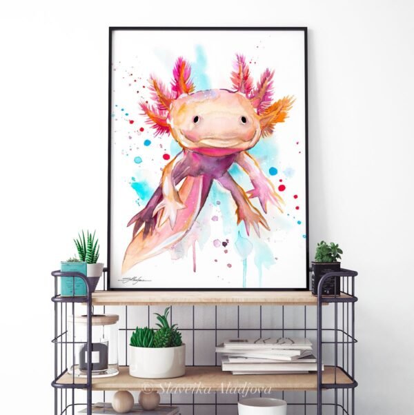 Axolotl, salamander