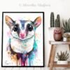 Sugar glider