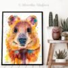 Quokka