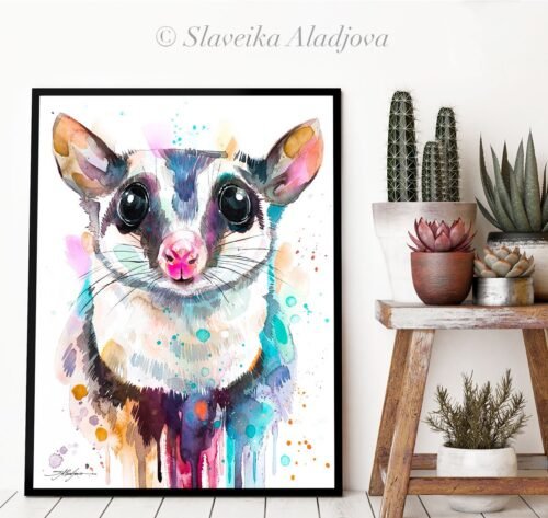 Sugar glider