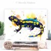 Fire salamander