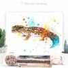 Leopard gecko