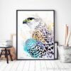 Gyrfalcon