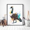Canada goose