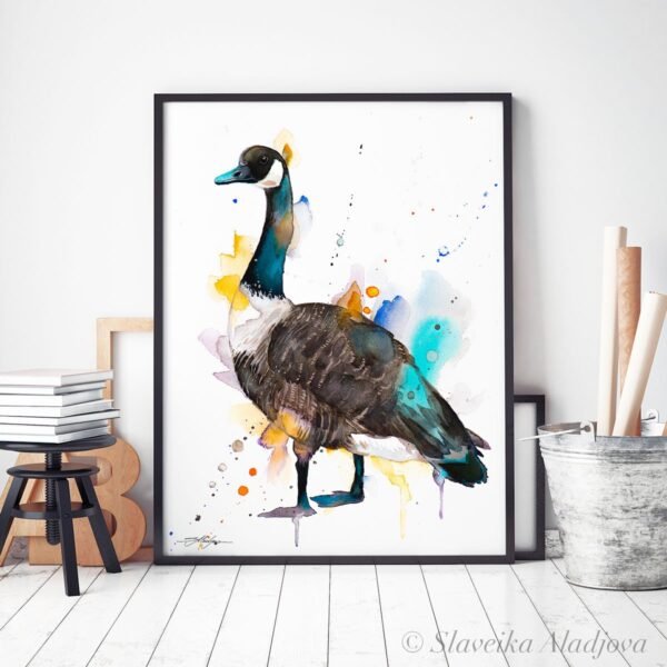 Canada goose