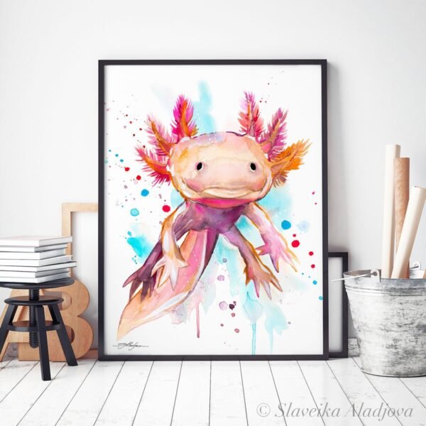 Axolotl, salamander