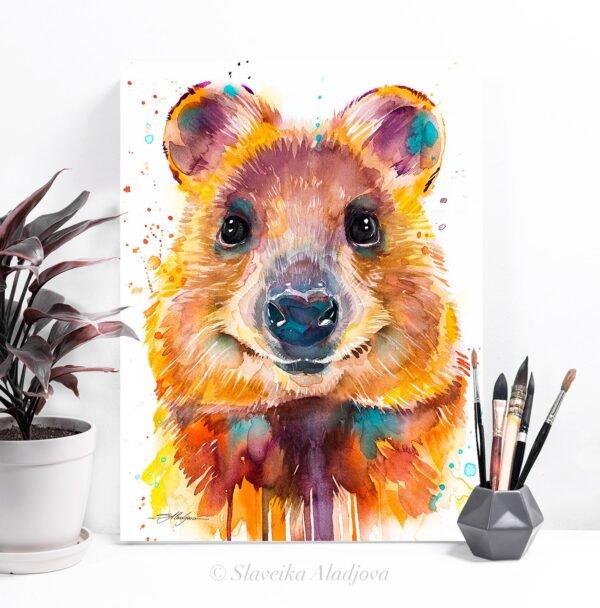 Quokka