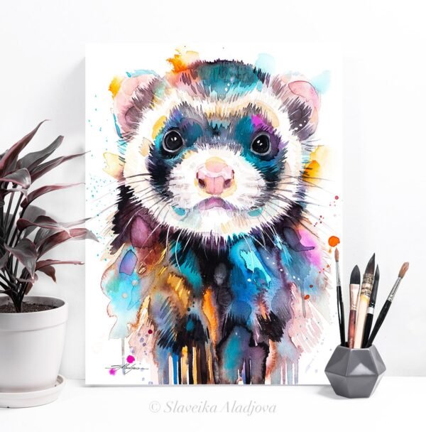 Ferret
