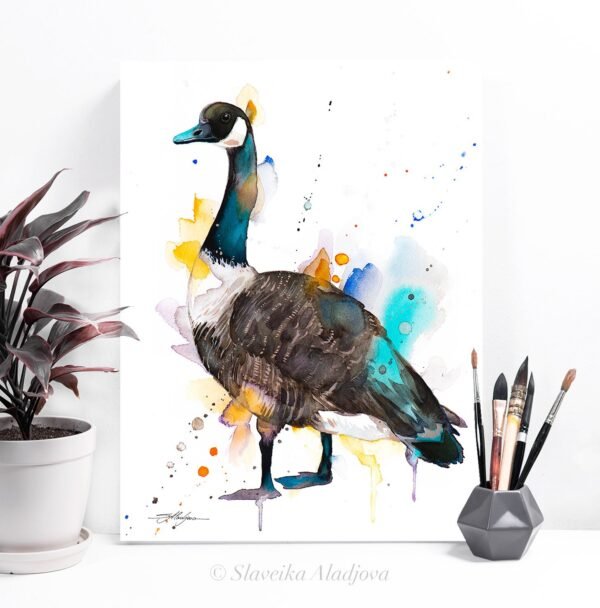 Canada goose
