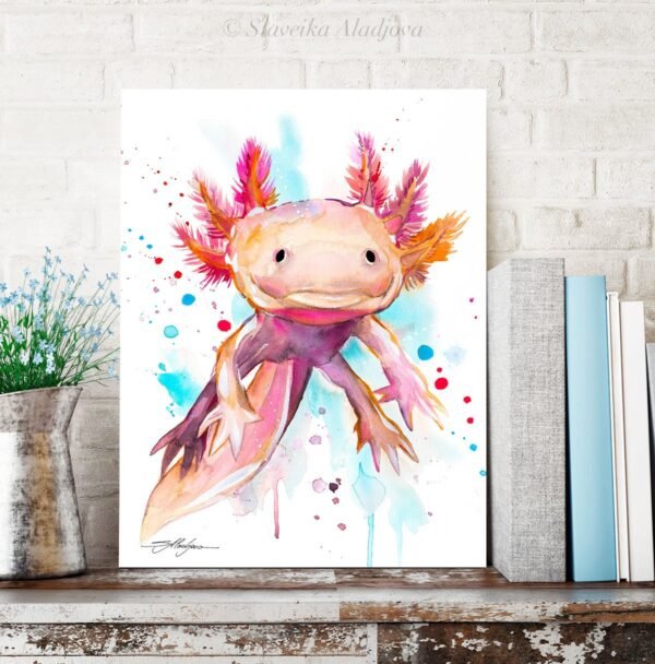 Axolotl, salamander