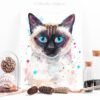 Siamese cat Siamese cat