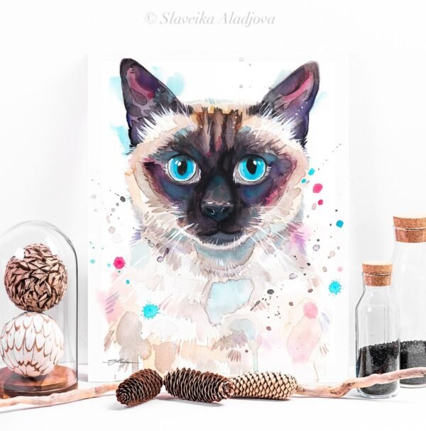 Siamese cat Siamese cat